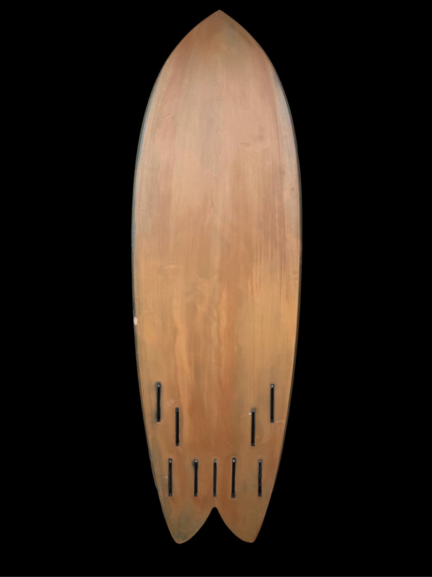 List fish 5”11