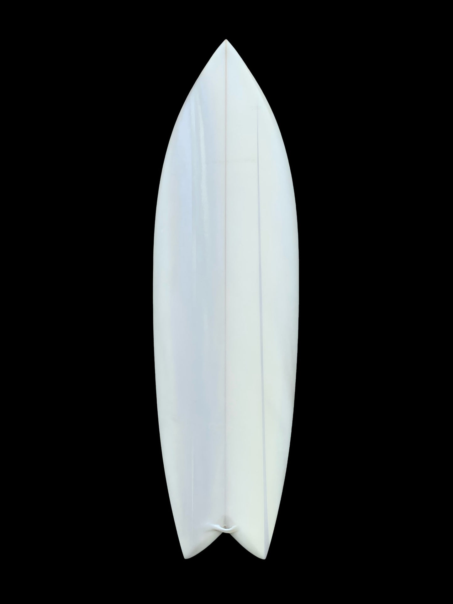 6”3 Twin fish