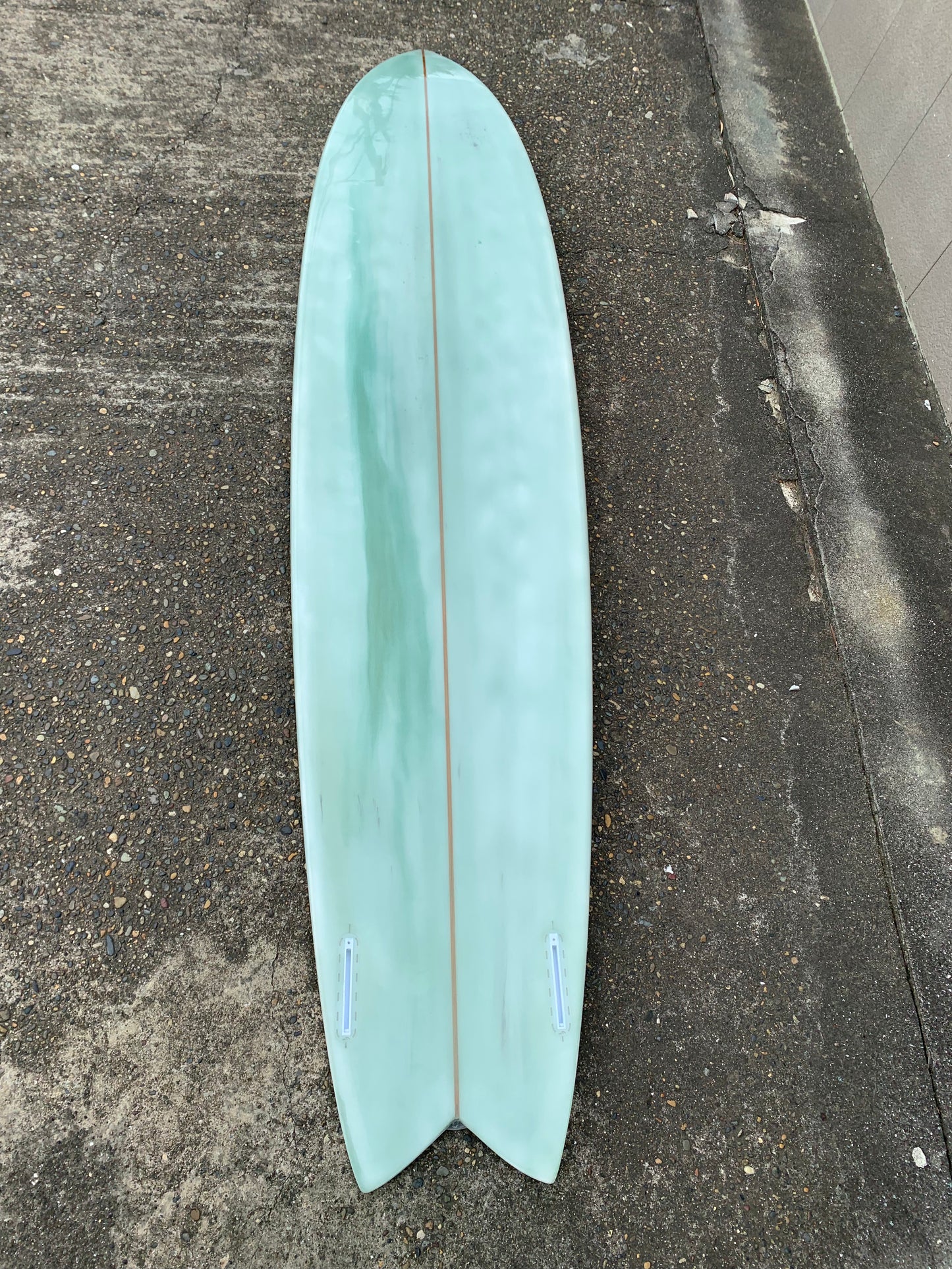 9”6 lizy fish twin
