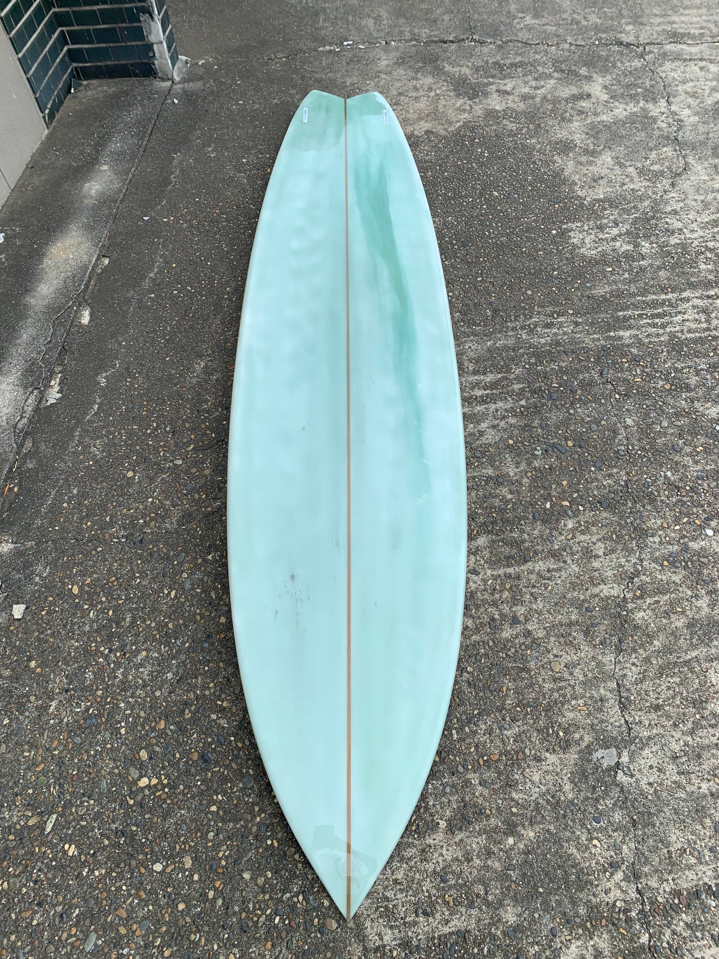 9”6 lizy fish twin
