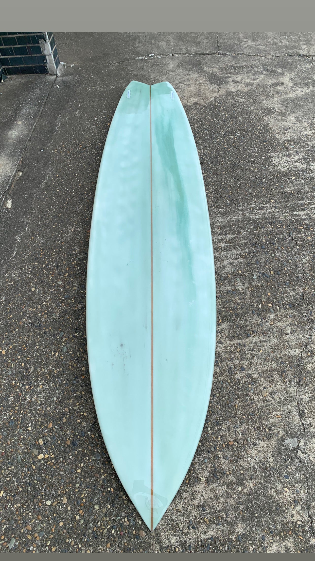 9”6 lizy fish twin