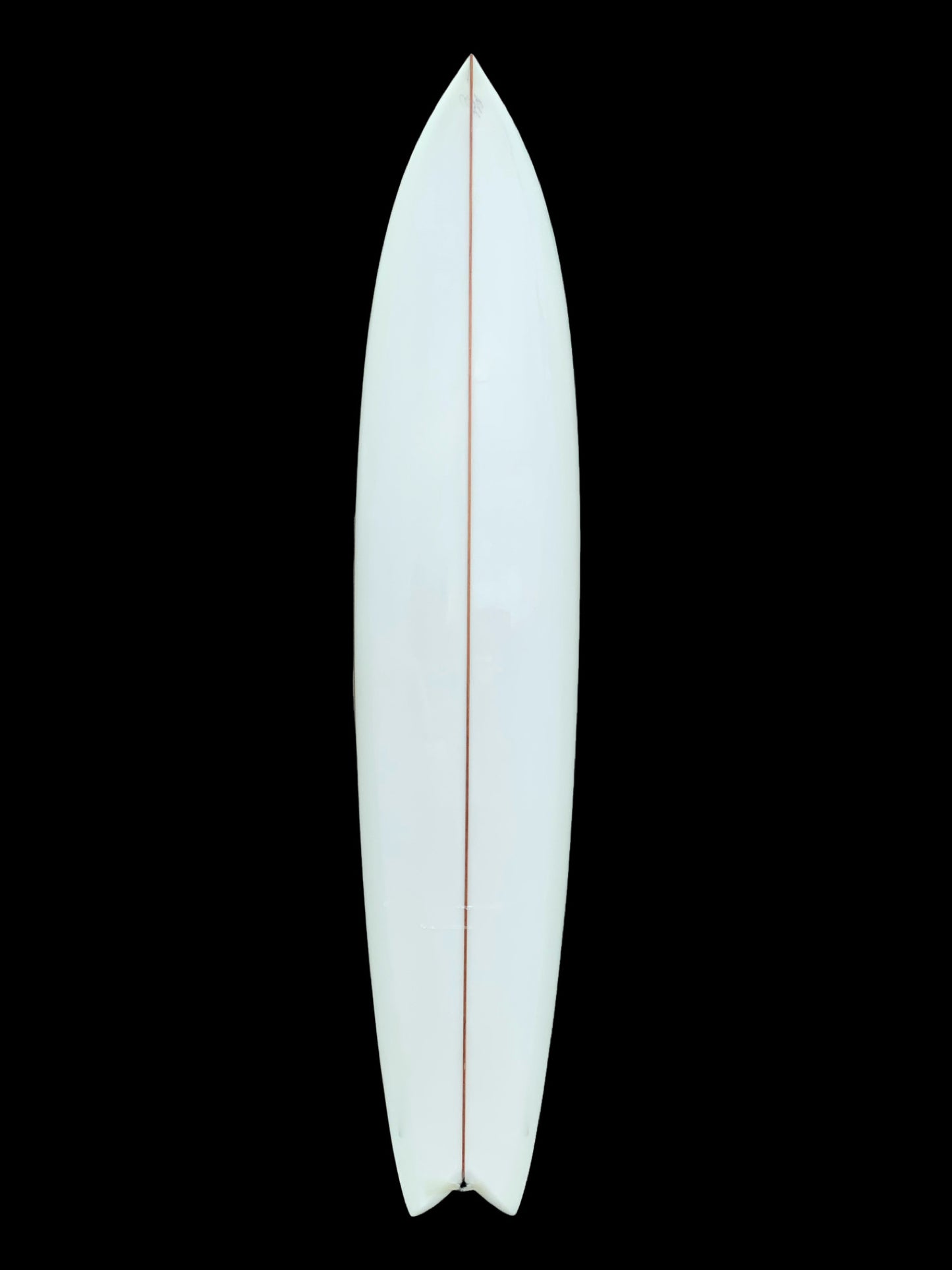 9”6 lizy fish twin
