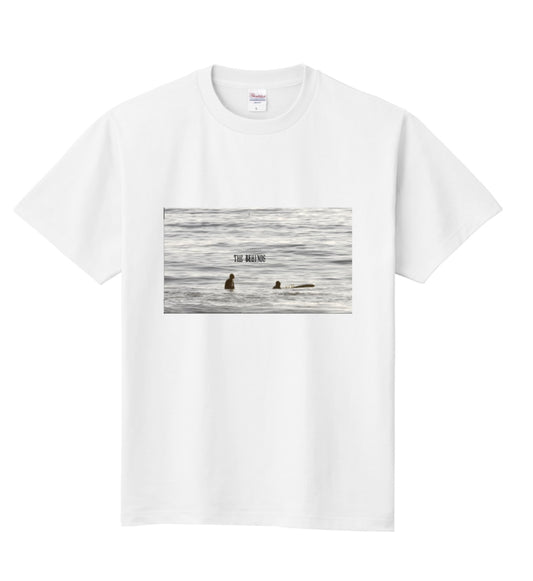THE BEHINDS California t