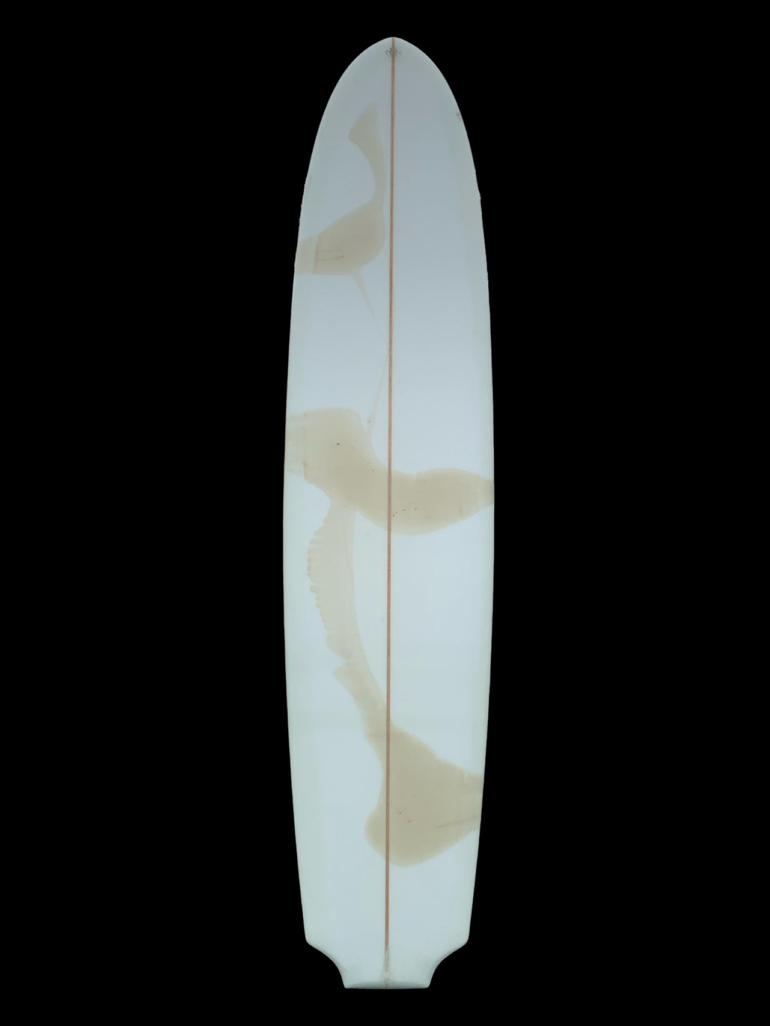 THE BEHINDS パフォーマンスボード The Behinds alternative surfers – The behinds alternative surfers