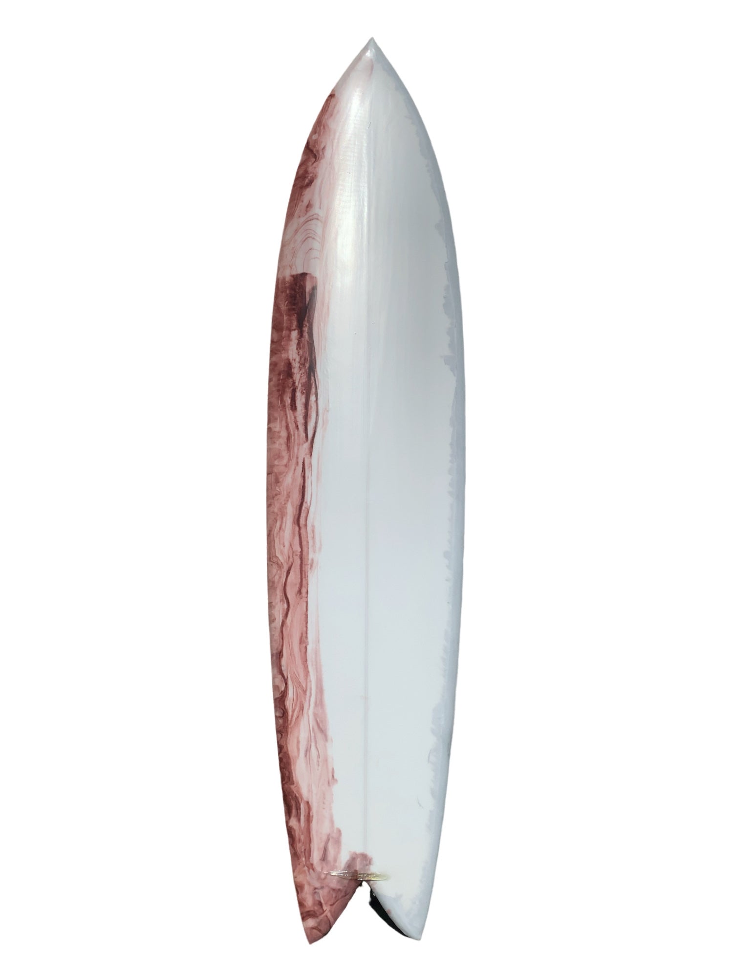 Liz fish – The behinds alternative surfers