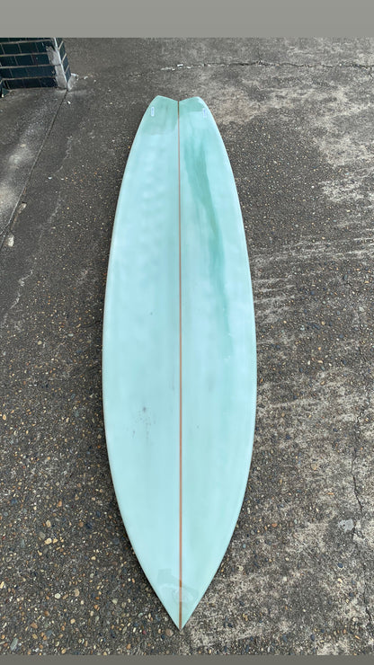 9”6 lizy fish  twin