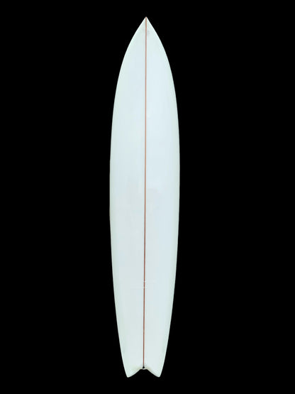 9”6 lizy fish  twin